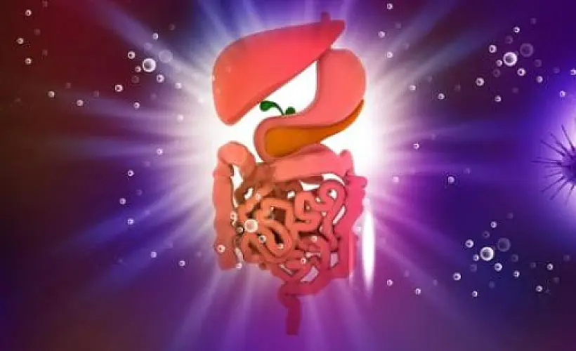 Prevent and Treat the Common Cold with Strain-Specific Probiotics