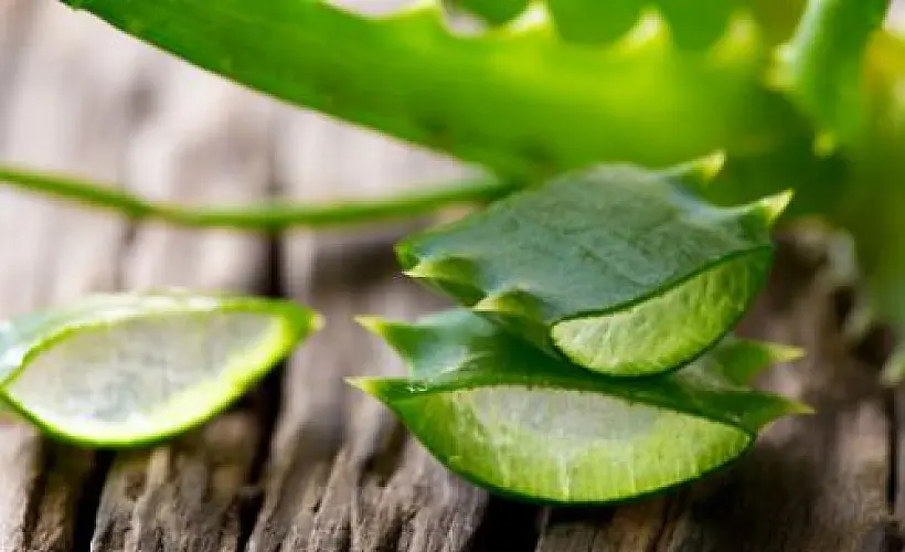 Top Five Most Powerful Healing Herbs