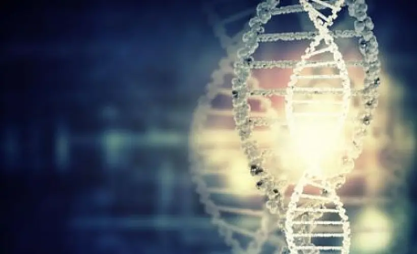 Epigenetic Memories are Passed Down 14 Successive Generations, Game-Changing Research Reveals