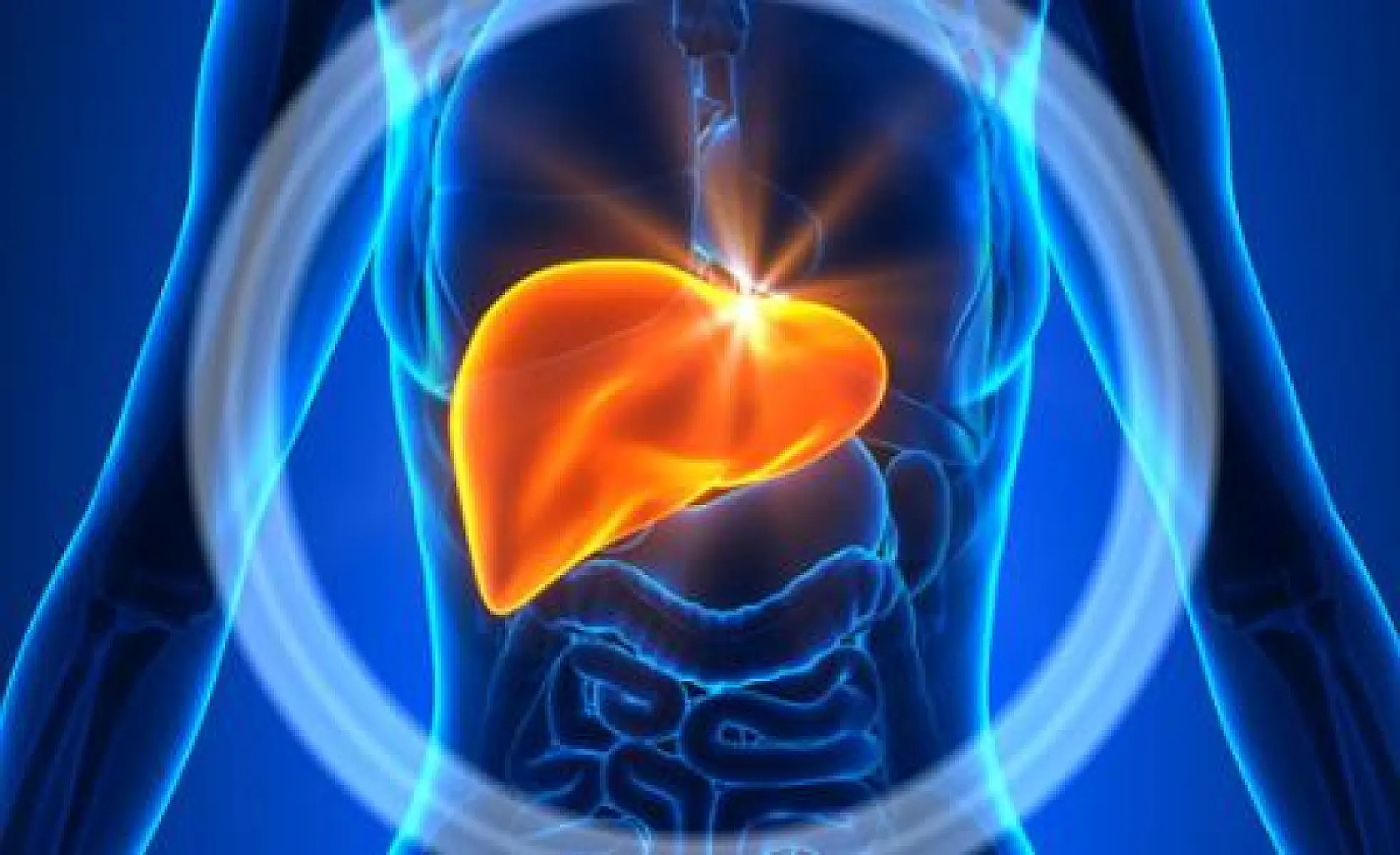 Black Seed Reverses Liver Disease in Randomized, Controlled Trial 
