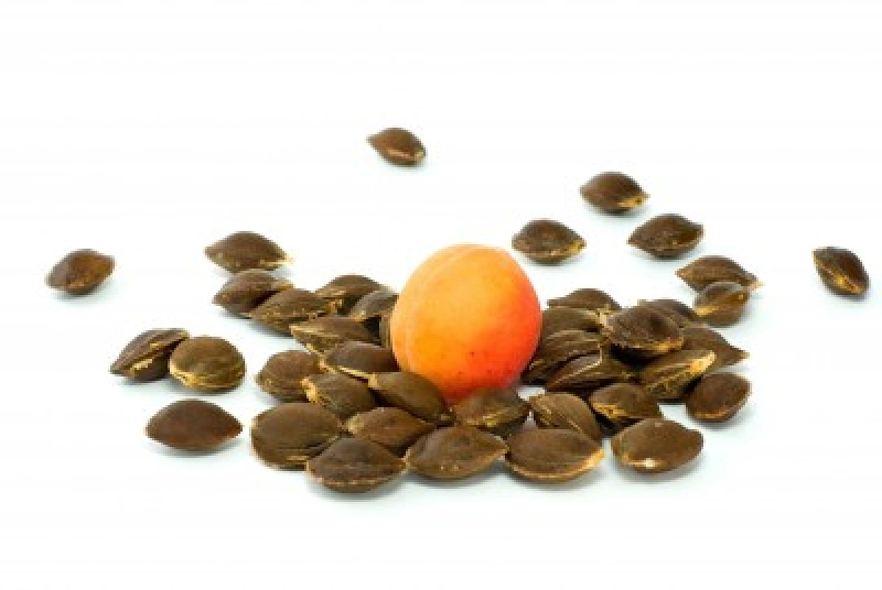 Apricot Kernels and Bitter Almonds Display Promising Effects
