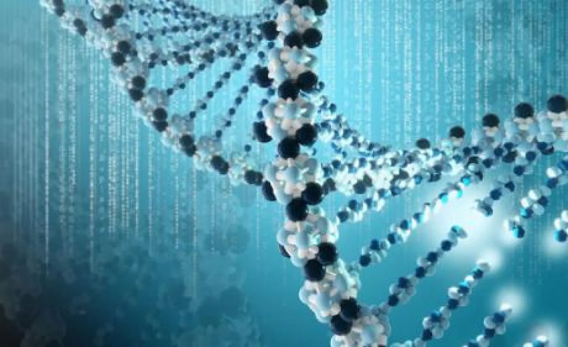 Gates Foundation Hired PR Firm to Manipulate UN Over Gene Drives