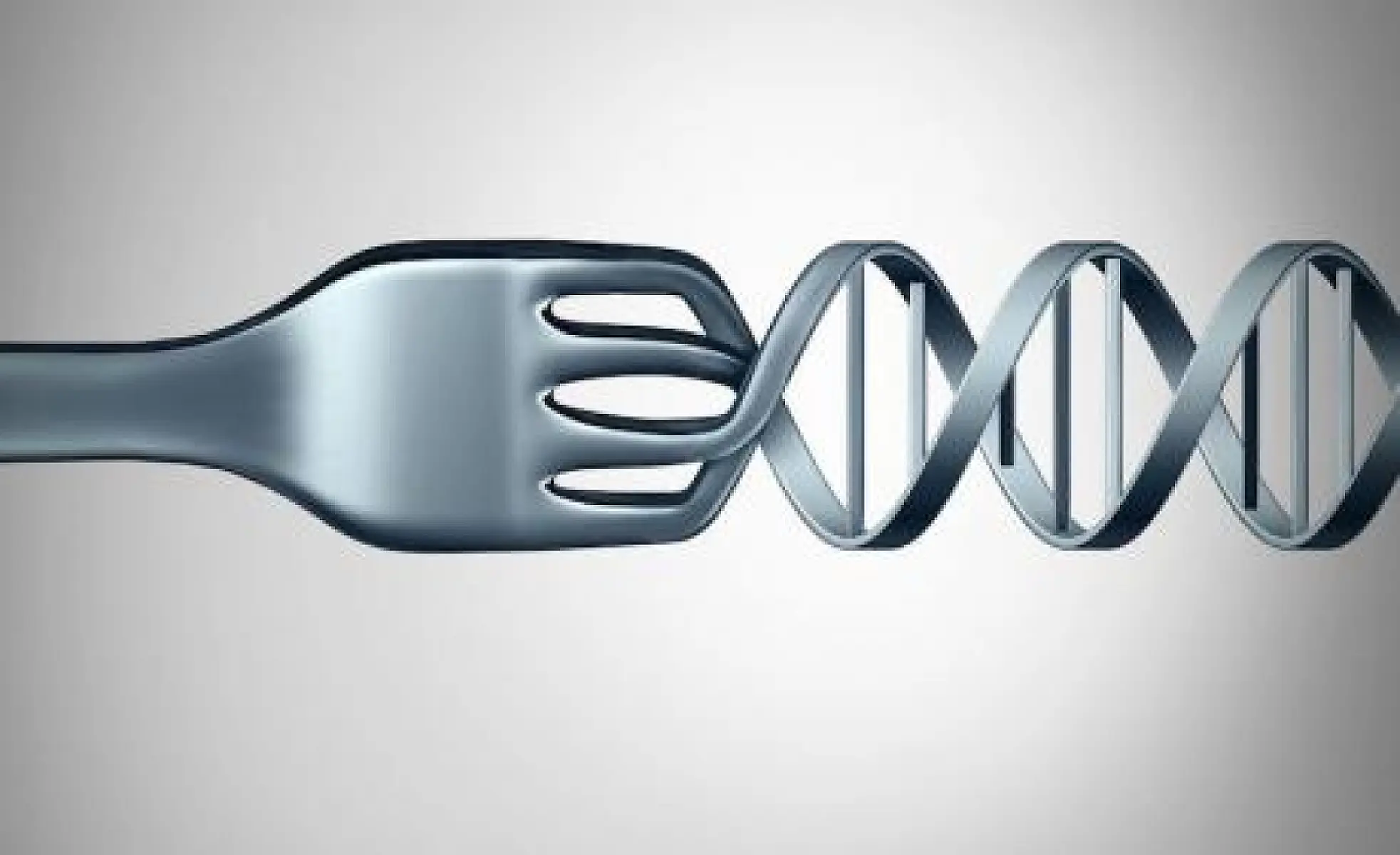 The Dark and Light Side of Food As Information (Dietary RNAs Directly Impact Gene Expression)