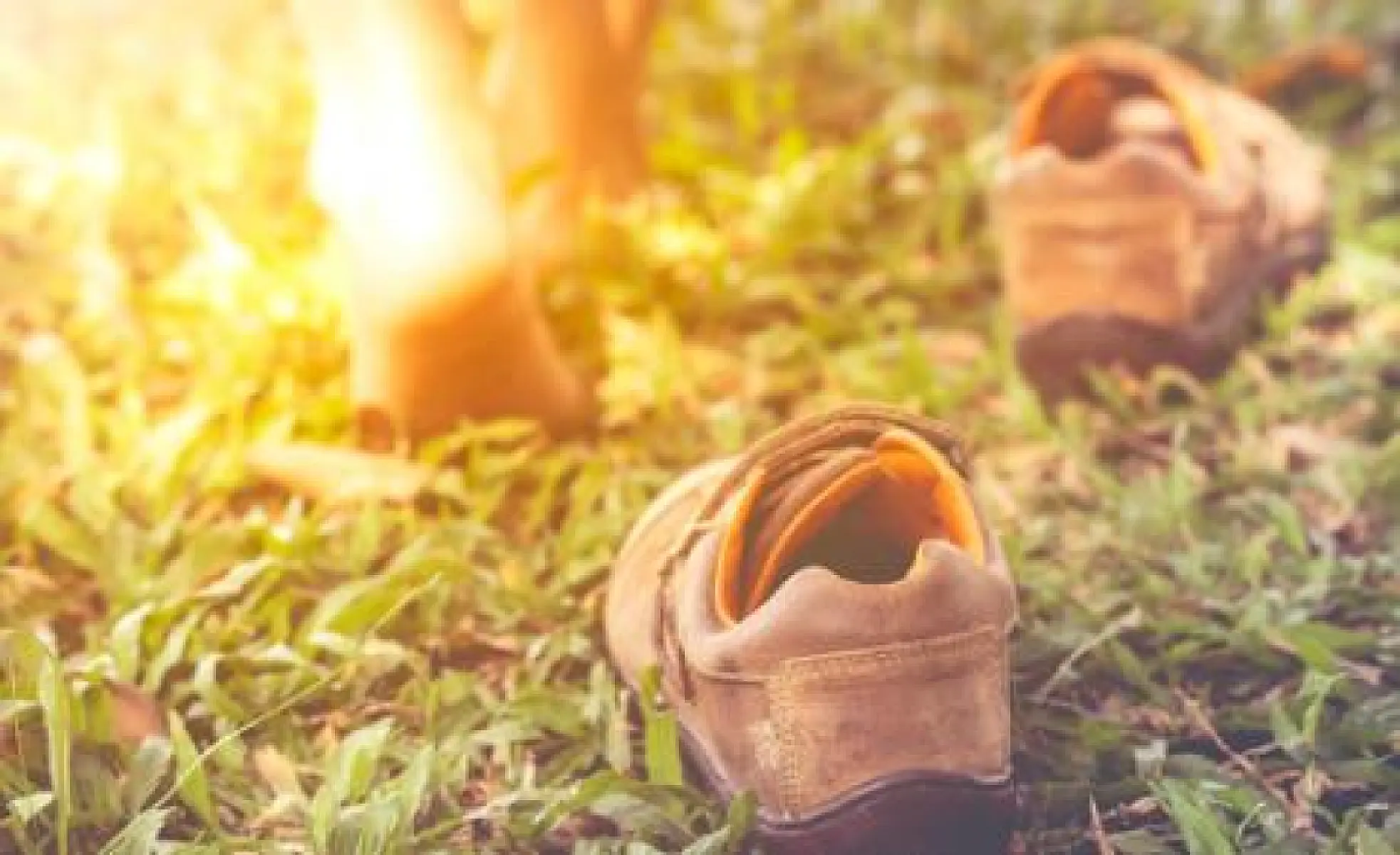 Grounding: The Missing Element to Healing Autoimmunity?