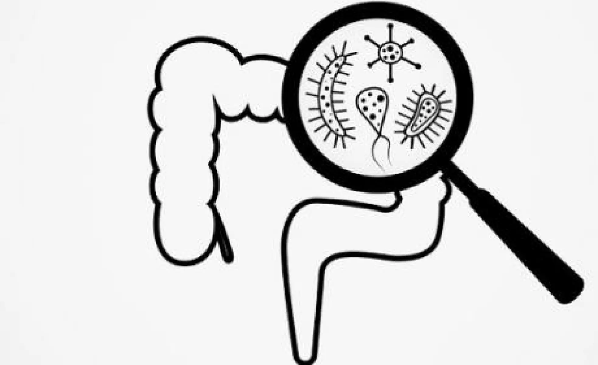 Blockchain and the Microbiome: Technology Imitating Nature?