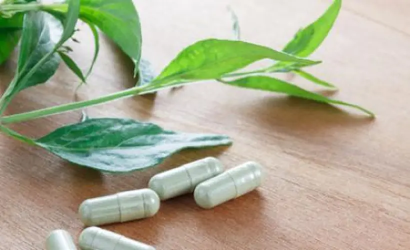 10 Reasons to Add Andrographis to Your Medicine Cabinet