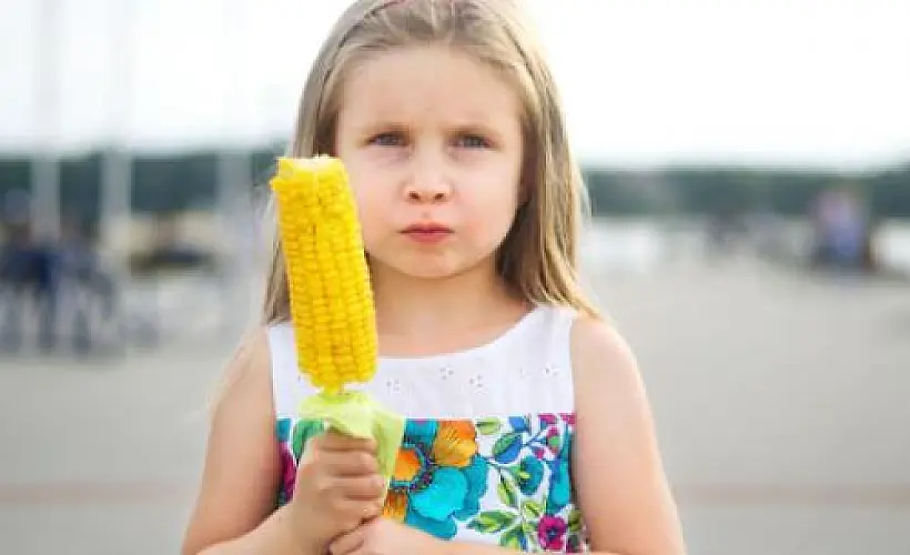 Safety of Monsanto/Dow's Newly Approved Frankenfood (RNAi Corn) Called Into Question