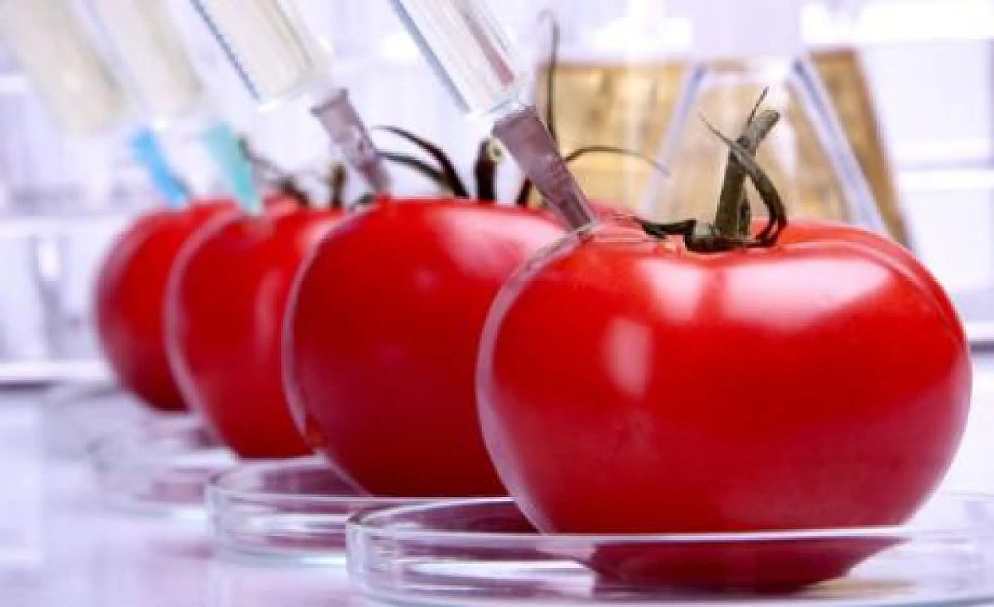 Monsanto Uses Codex to Hide GMOs from Consumers