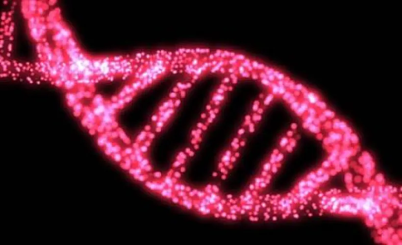 The “Deadly Breast Cancer Gene” Is A Myth, Lancet Study Confirms
