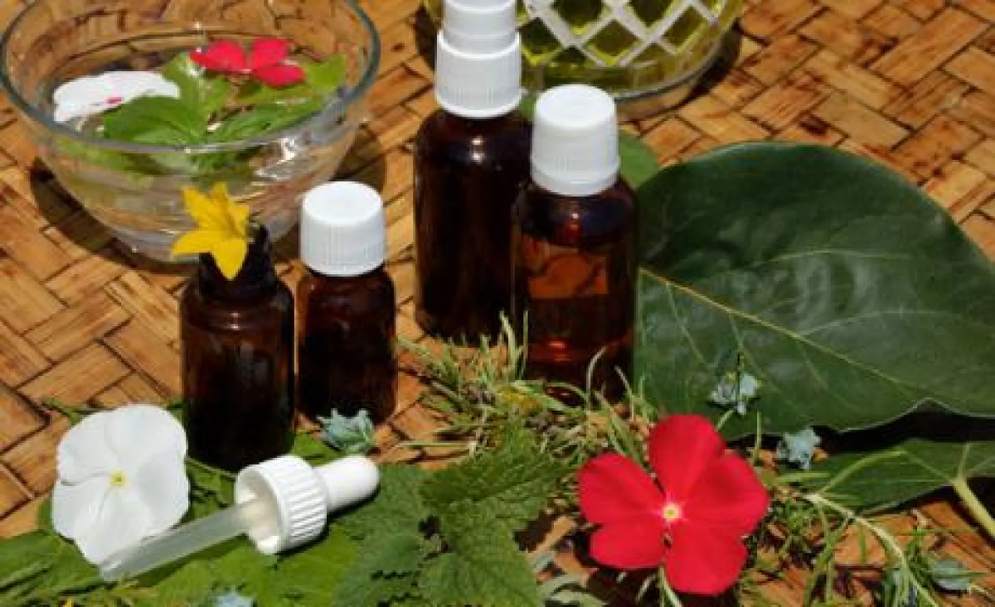 Is the FDA Trying to Ban Over-The-Counter Homeopathy? 