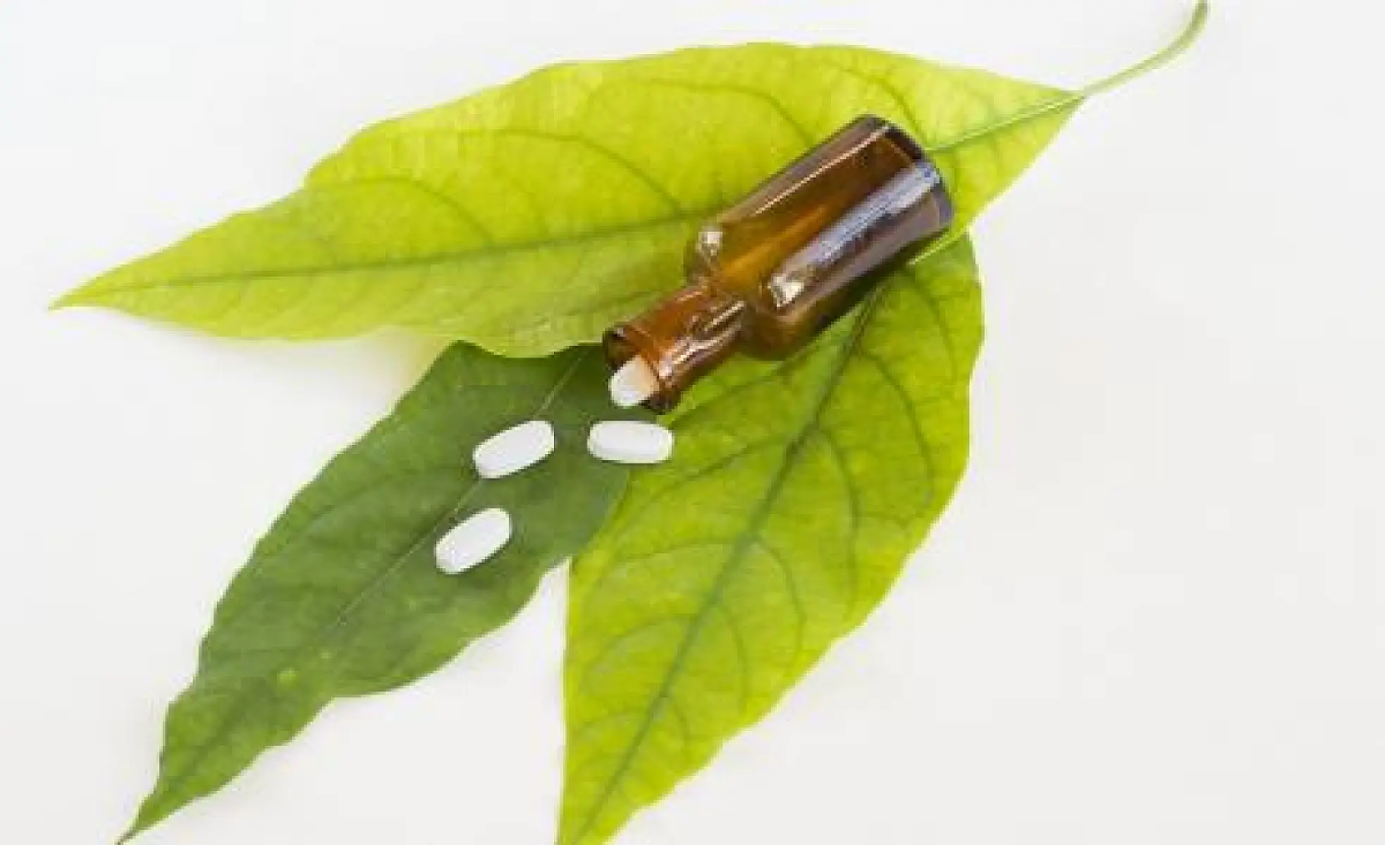 Natural Solutions to the Opioid Crisis