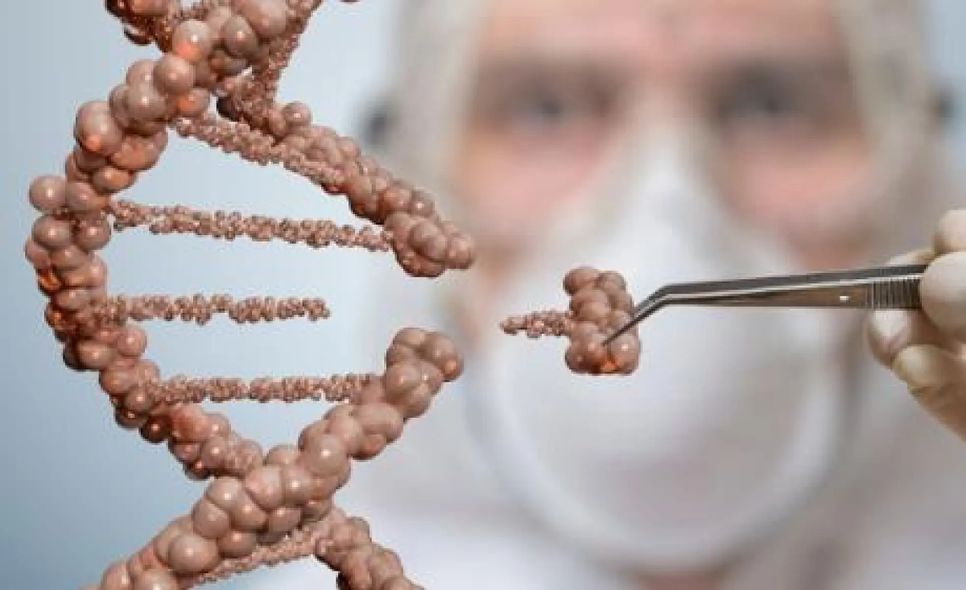 The Seeds Of Suicide: How Monsanto Destroys Farming (and the Lives of Farmers)