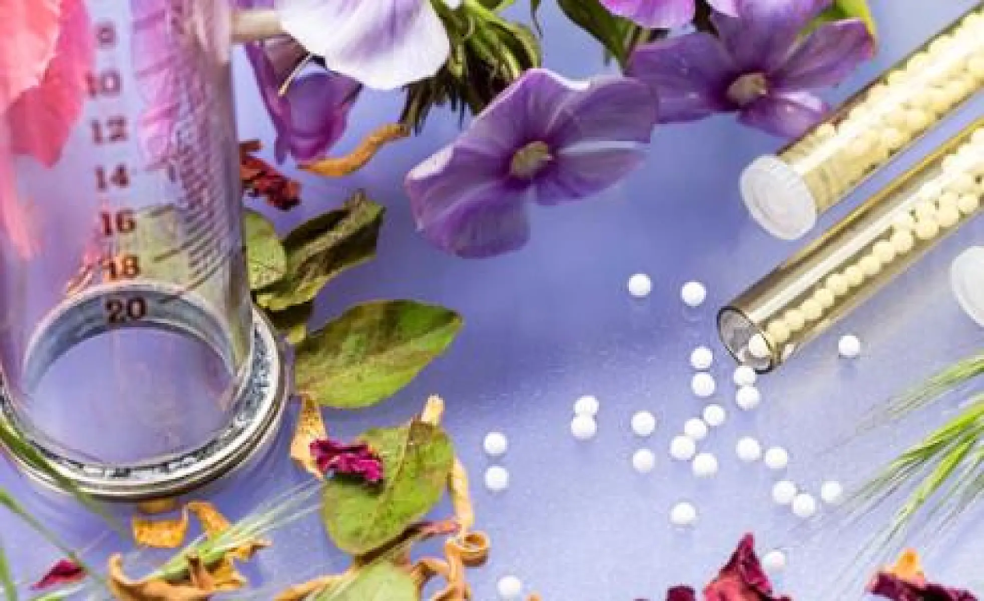 Critique of Proposed Regulations of Homeopathic Medicines and Alternative Proposals