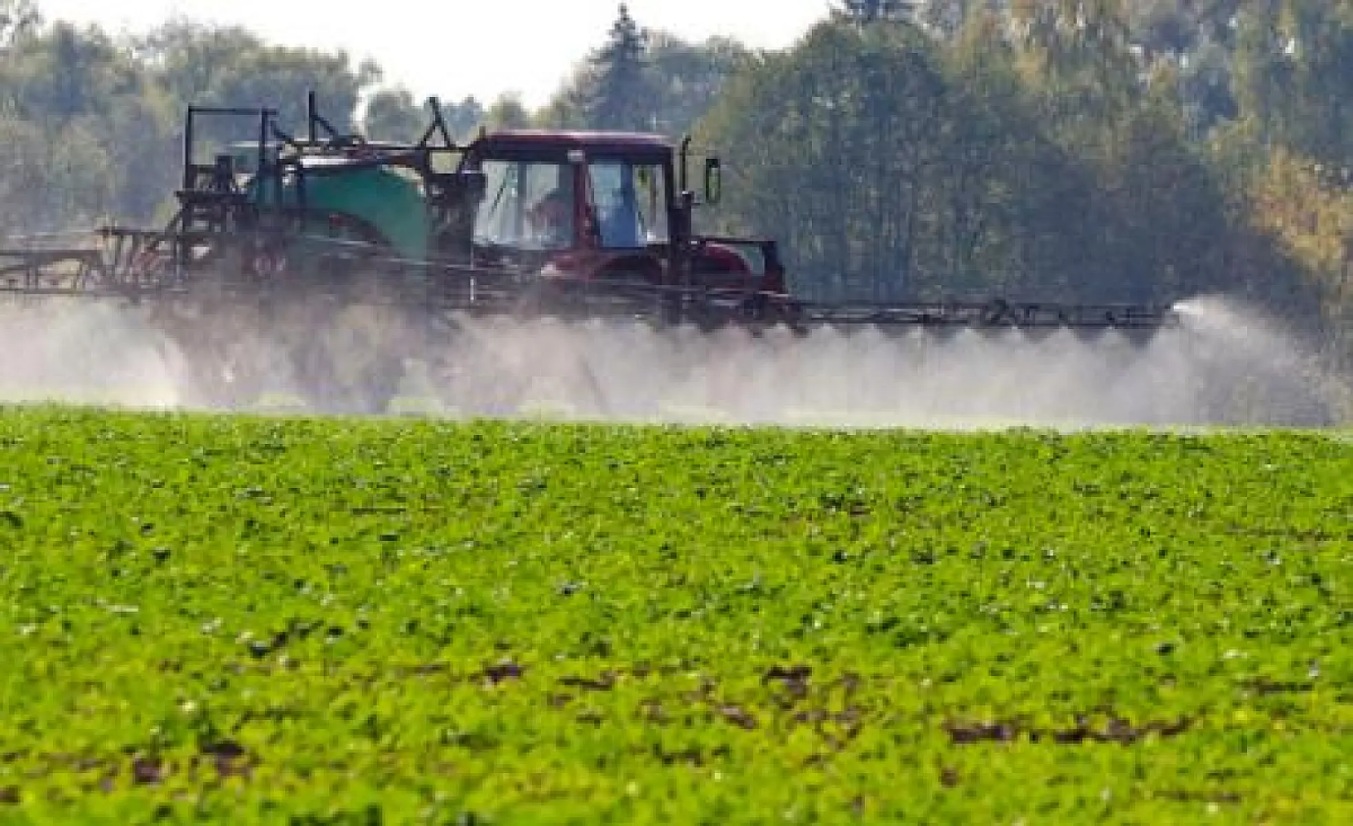 Agrichemical Political Power in America and Europe