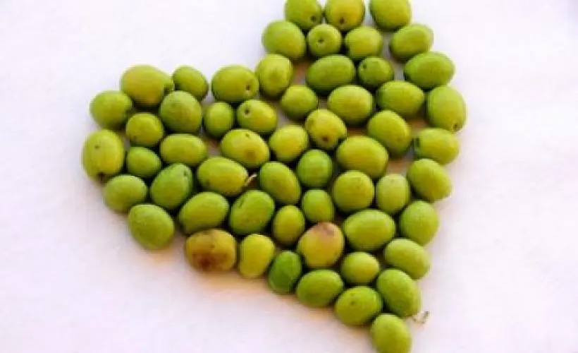 Olive Oil Turns Off Heart Disease Genes