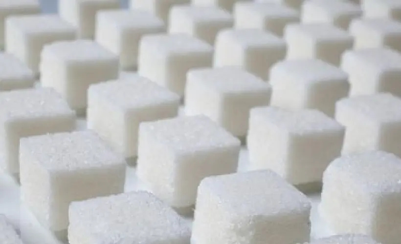 Not Salt But Sugar May Be a Leading Cause of Kidney Stones