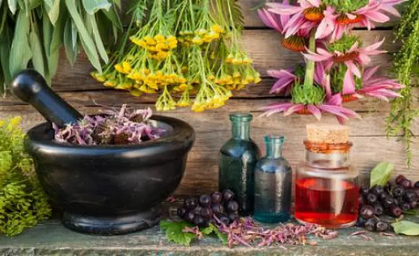 Wikipedia's Skeptical Assault on Botanical Medicine