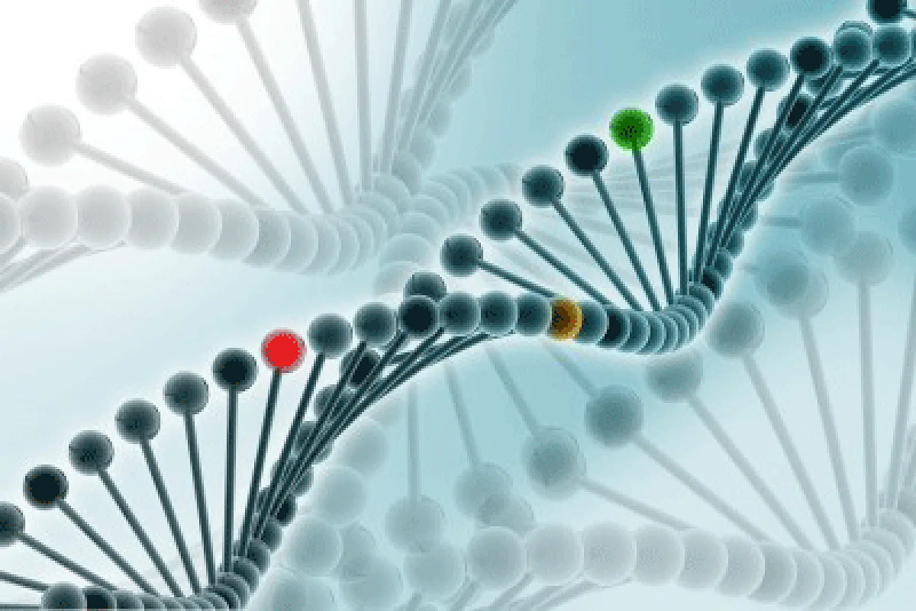 Your Genes Are Not Your Destiny!