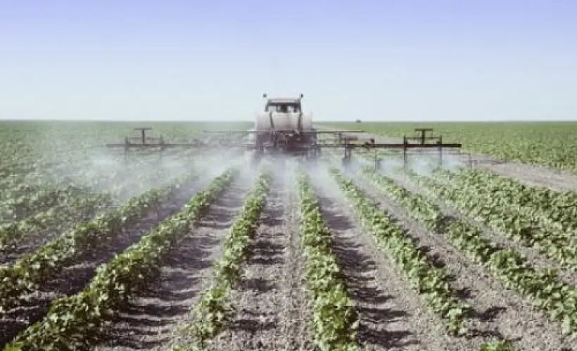 How Glyphosate Poisoning Explains the Peculiarities of the Autism Gut