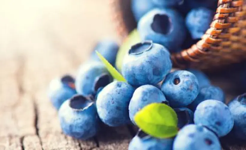 Positive Effects of Blueberries on Mood in Children and Young Adults