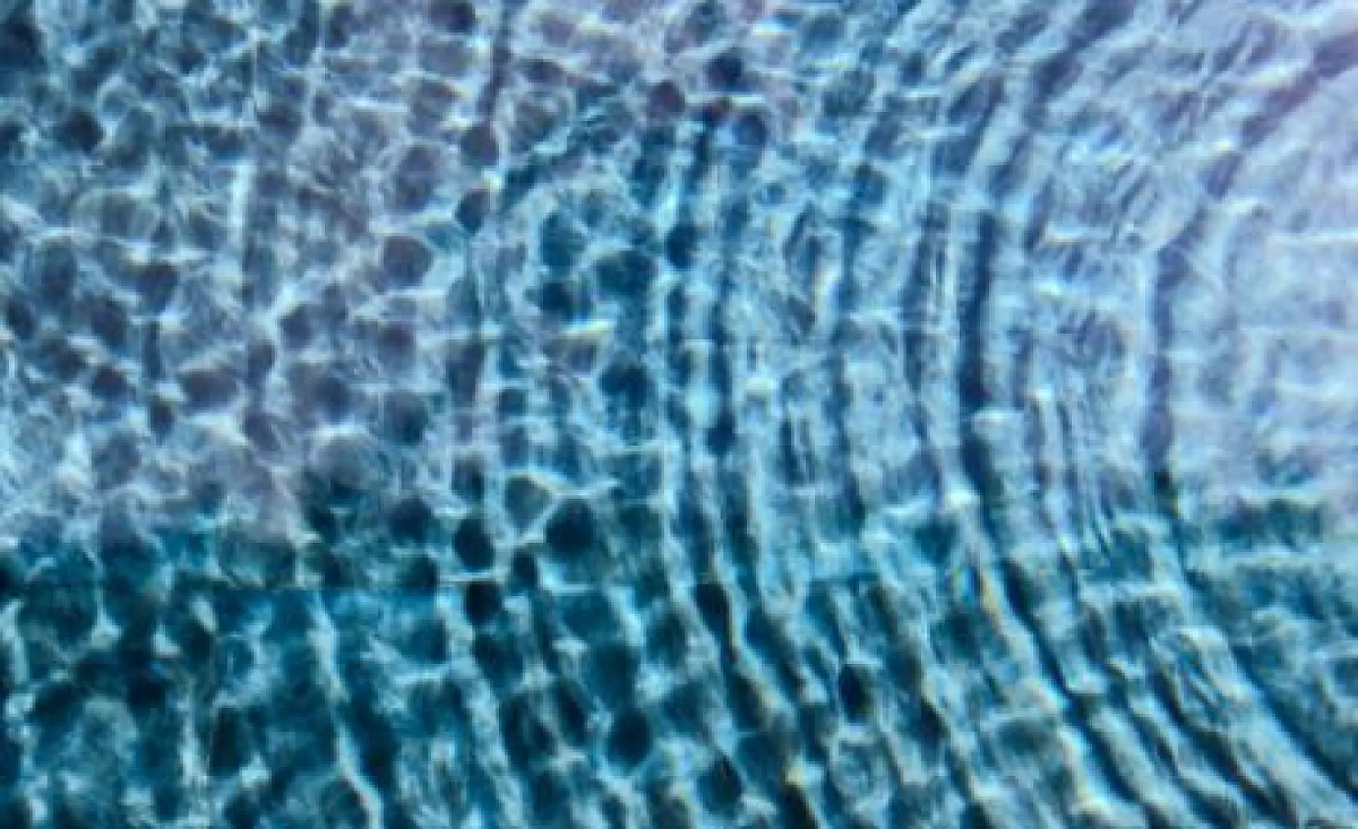 New Water Memory Research May Lead to a Better Understanding of Homeopathic Medicine