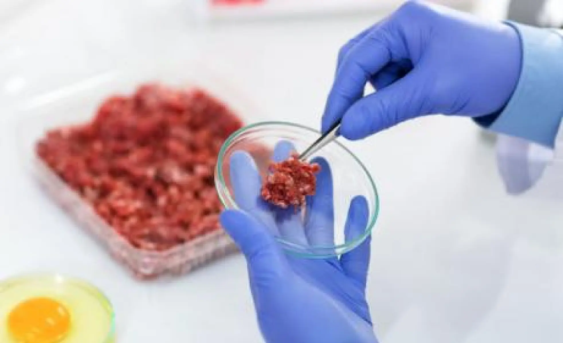 Vegan GMO Burger That “Bleeds” Hits Hundreds of Fast Food Locations Including 'Organic' Ones
