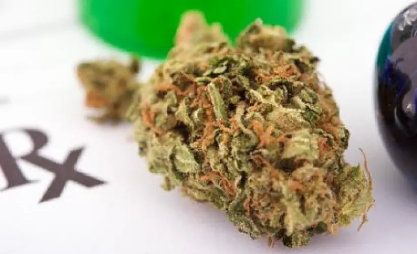Medical Marijuana and Cannabis Research Suppressed