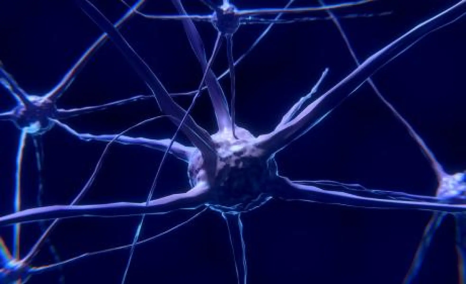 How to Improve Your Neurotransmitters with Diet