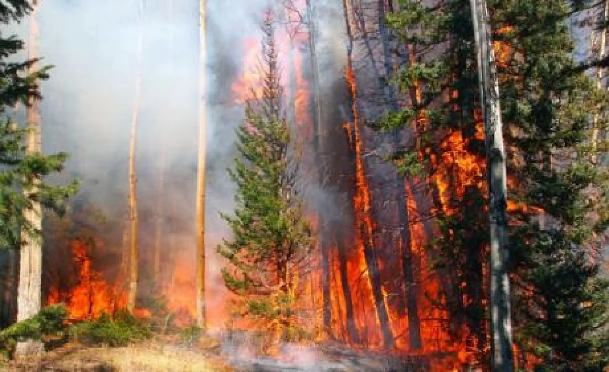 Weaponized Wildfires: California Burns 2.0