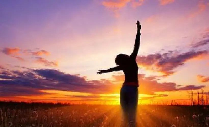 Revisioning Cellular Bioenergetics: Food As Information and The Light-Driven Body