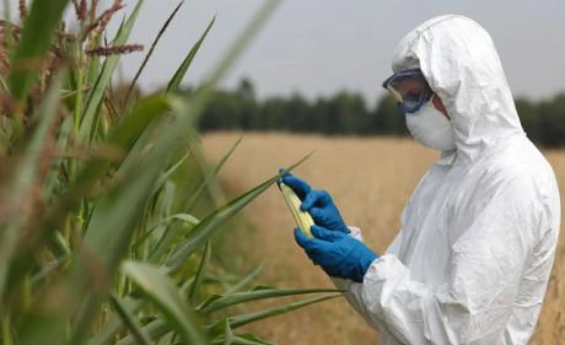 The Gates Foundation’s Ceres2030 Plan Pushes Agenda of Agribusiness
