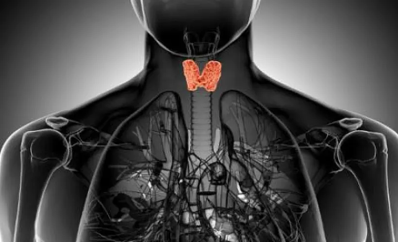 Paradigm Shift from Levothyroxine to Combination T3 T4 Thyroid