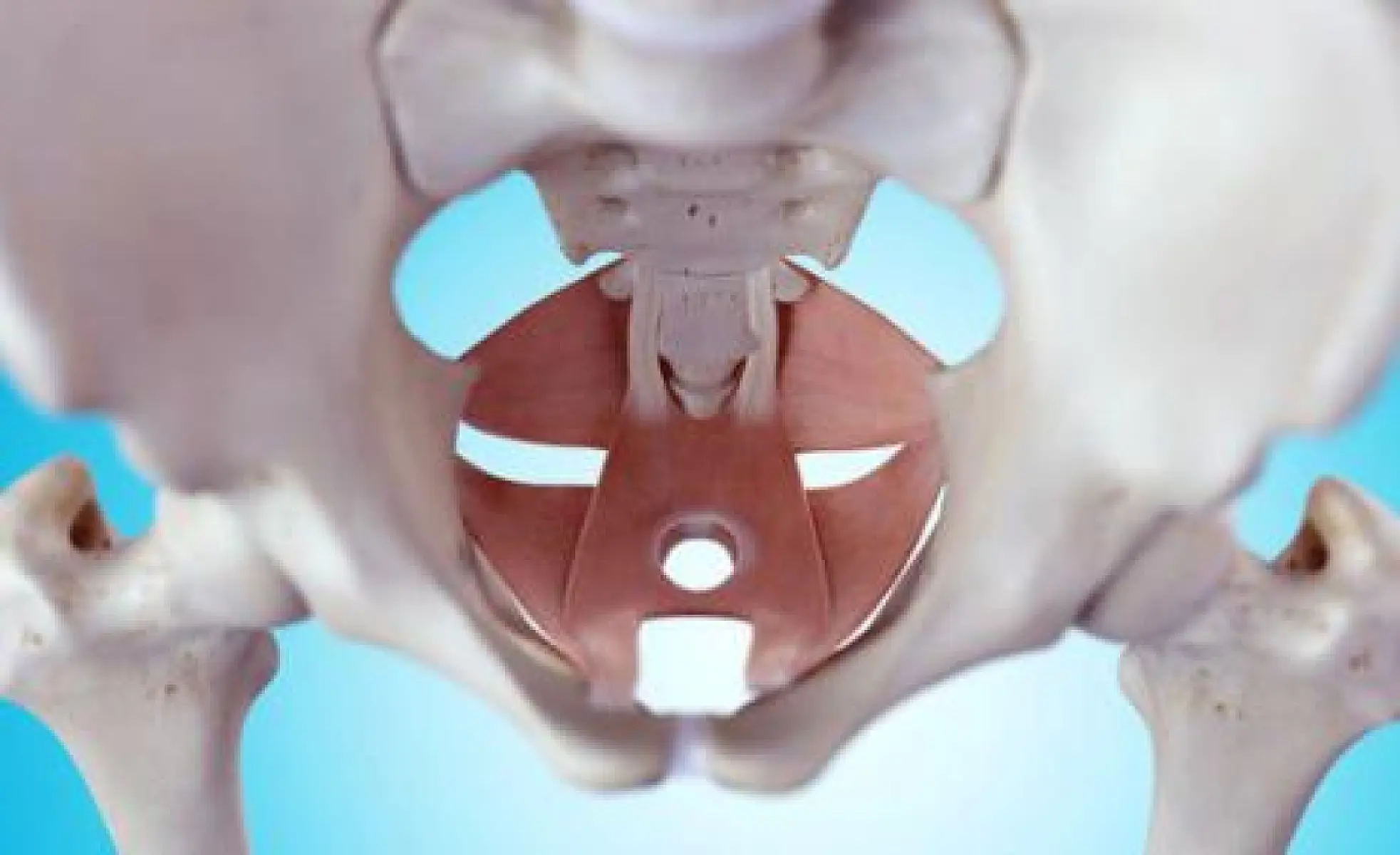 Millions of  Women are Suffering from Leaking, Painful Intimacy and Pelvic Discomfort: Here’s What You Need to Know 