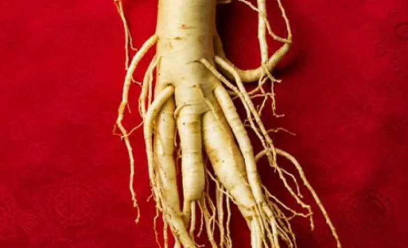 Ginseng May Work Better Than Chemo and Radiation. Here's How...