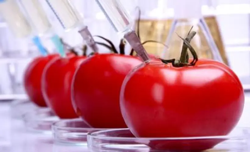 GMO Foods Will Soon be Mislabeled as Biofortified