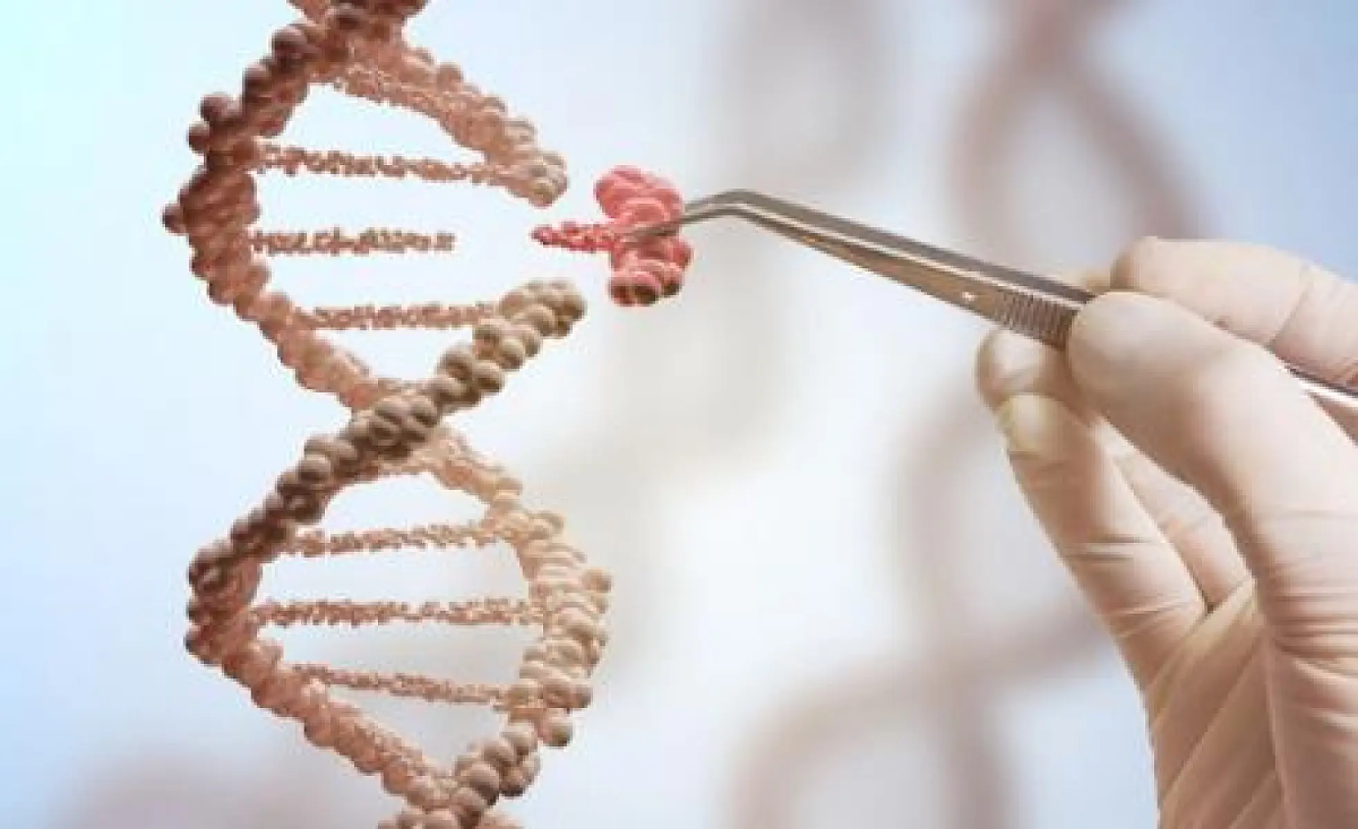 USDA has Given Non-Regulated Status to More than 20 Gene-Edited Crops - New Report