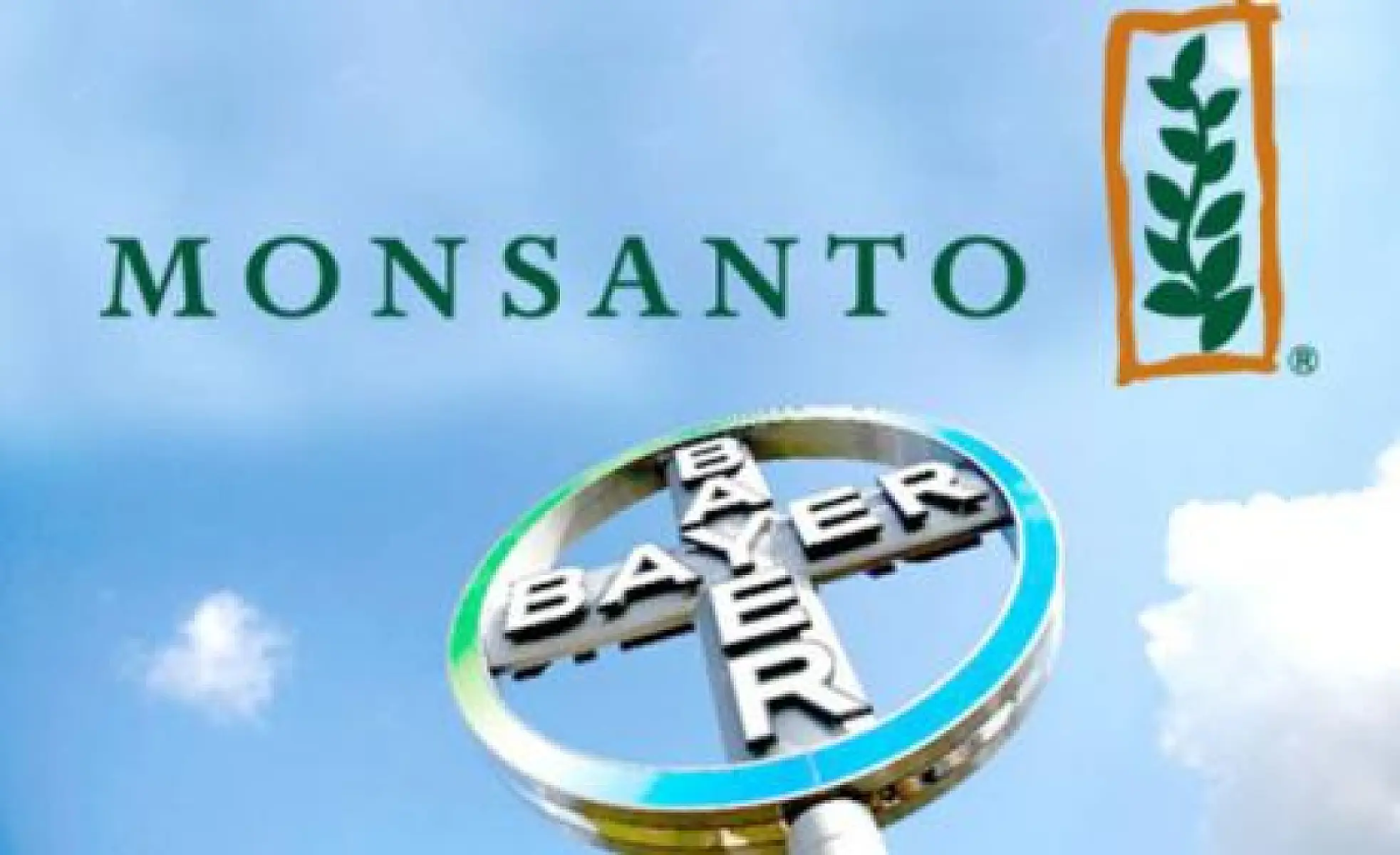 BREAKING: Roundup "Weed Killer" Contributed to CA Man's Cancer; 100's of Billions in Future Liability for Monsanto-Bayer