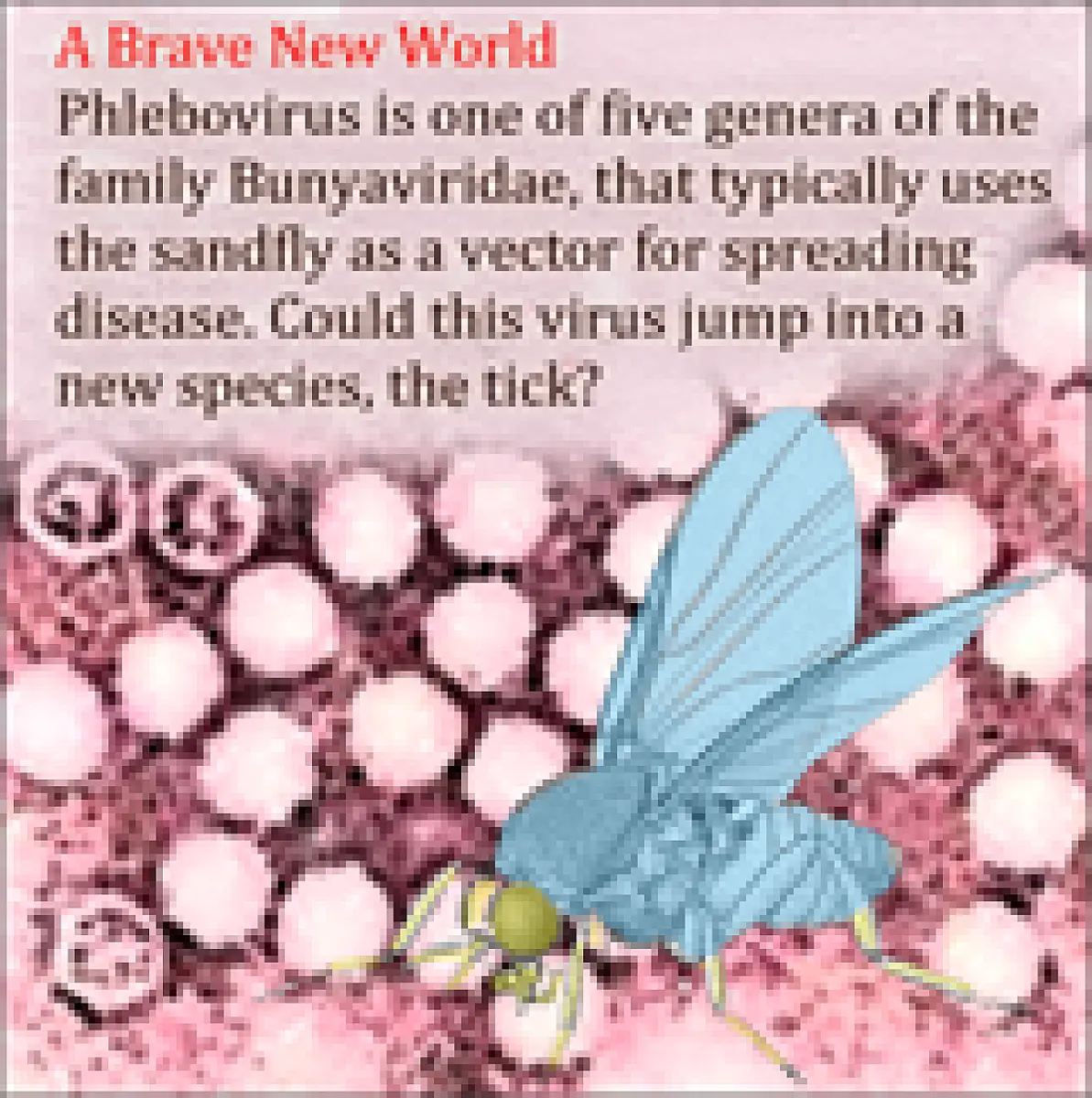 Homeopathy In A Brand New World of Species-Jumping Diseases