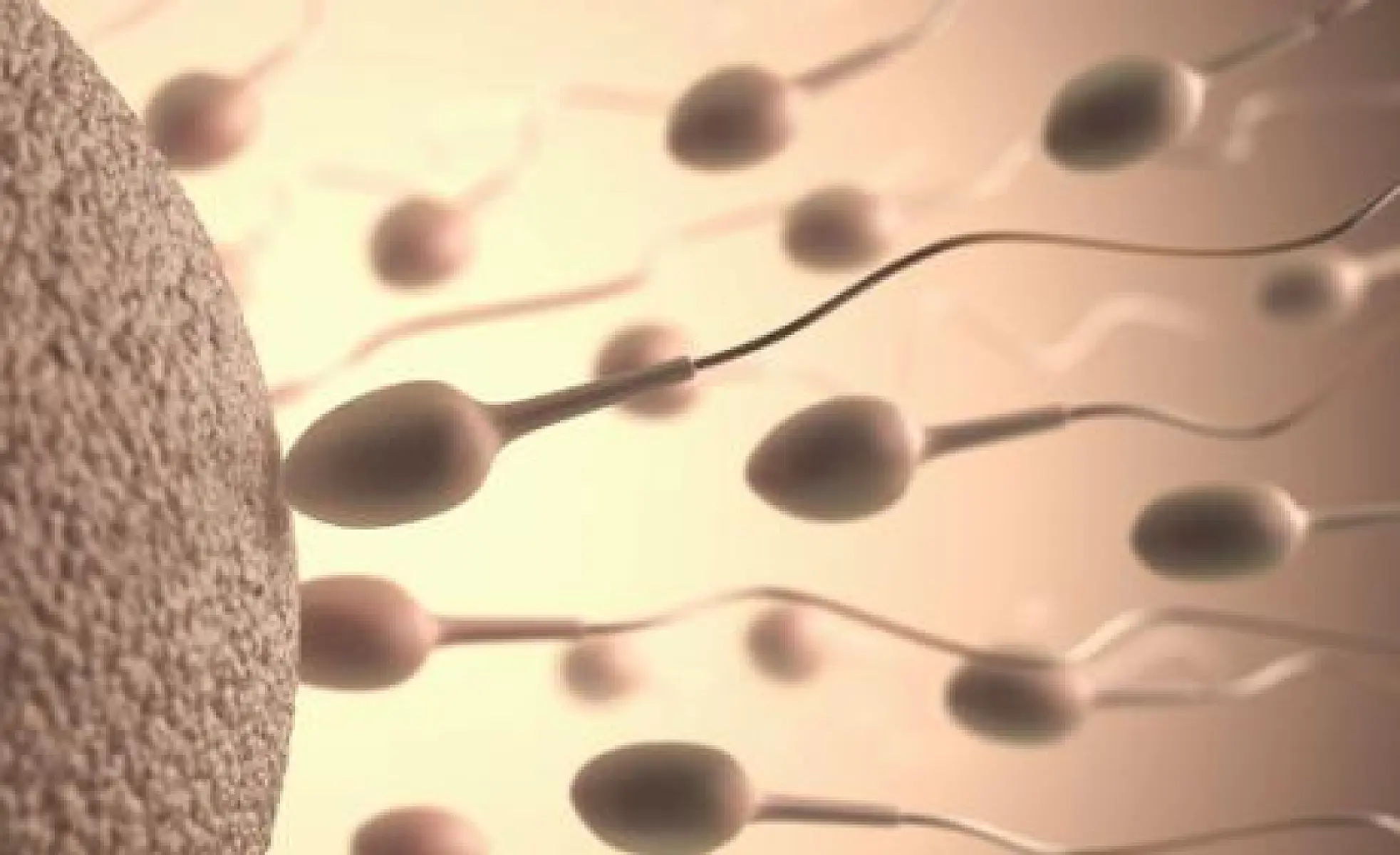 The Most Extensive Study Ever on Nutrients & Male Fertility