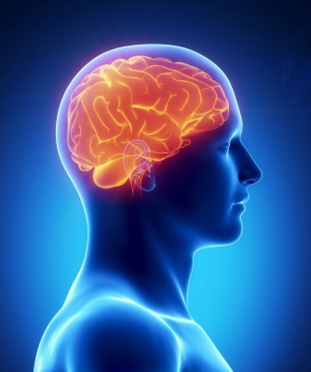 White Fruits and Vegetables May Lower Stroke Risk