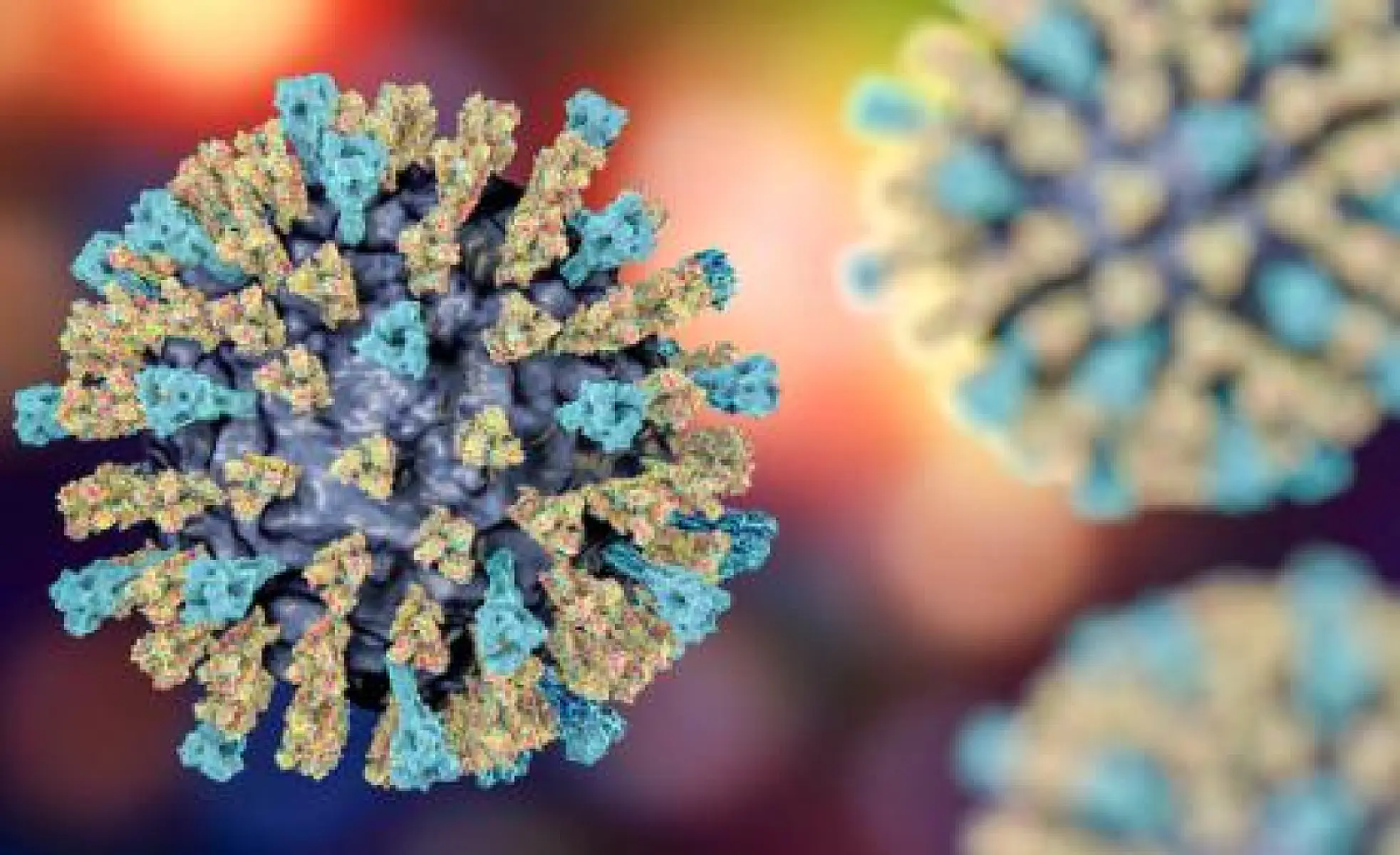What is Going on With Measles? The Science and Politics of Eradicating Measles