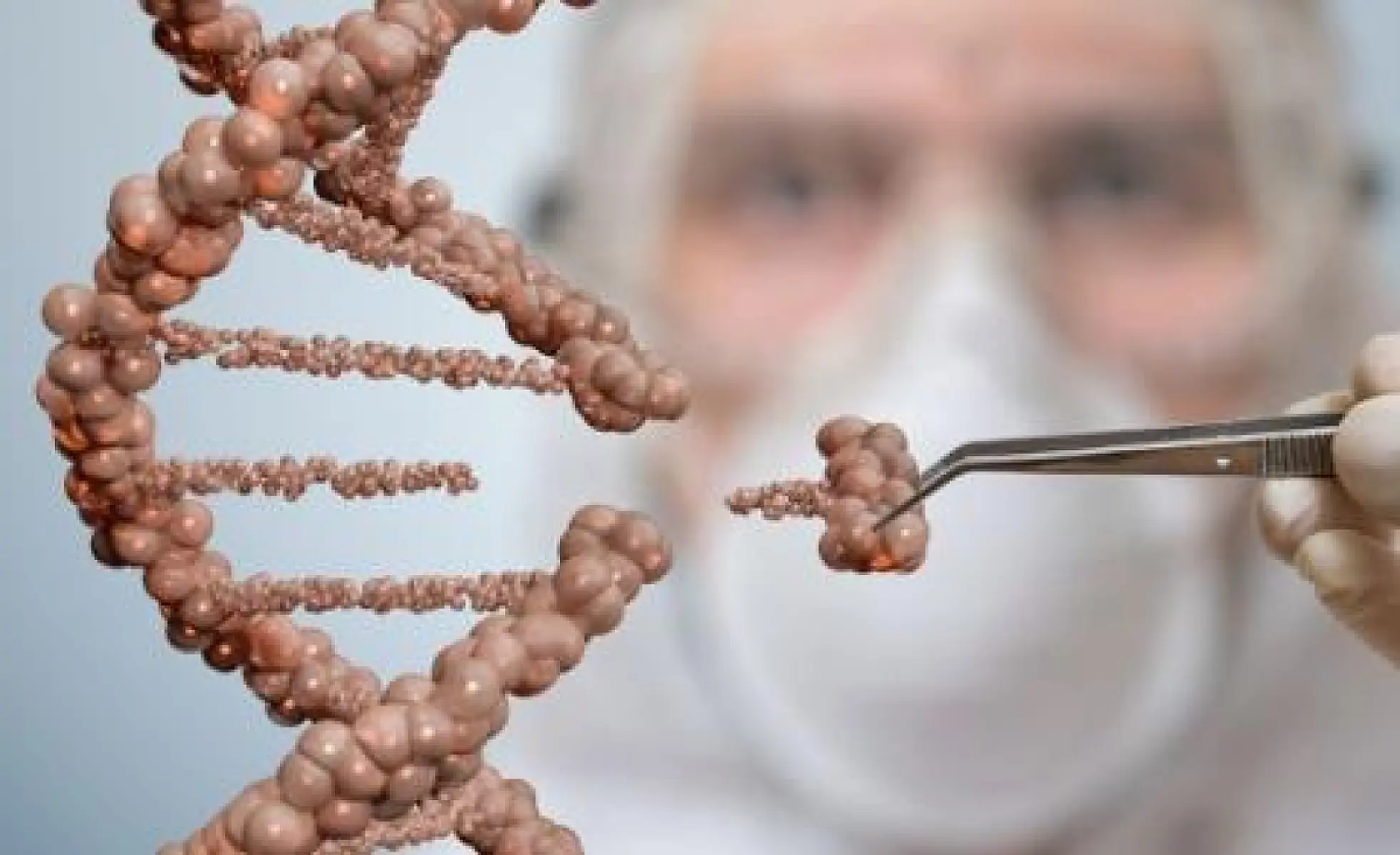 Moms Across America Asks Impossible Foods and Funders Temasek to Drop GMOs