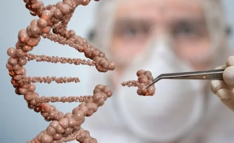 Moms Across America Asks Impossible Foods and Funders Temasek to Drop GMOs