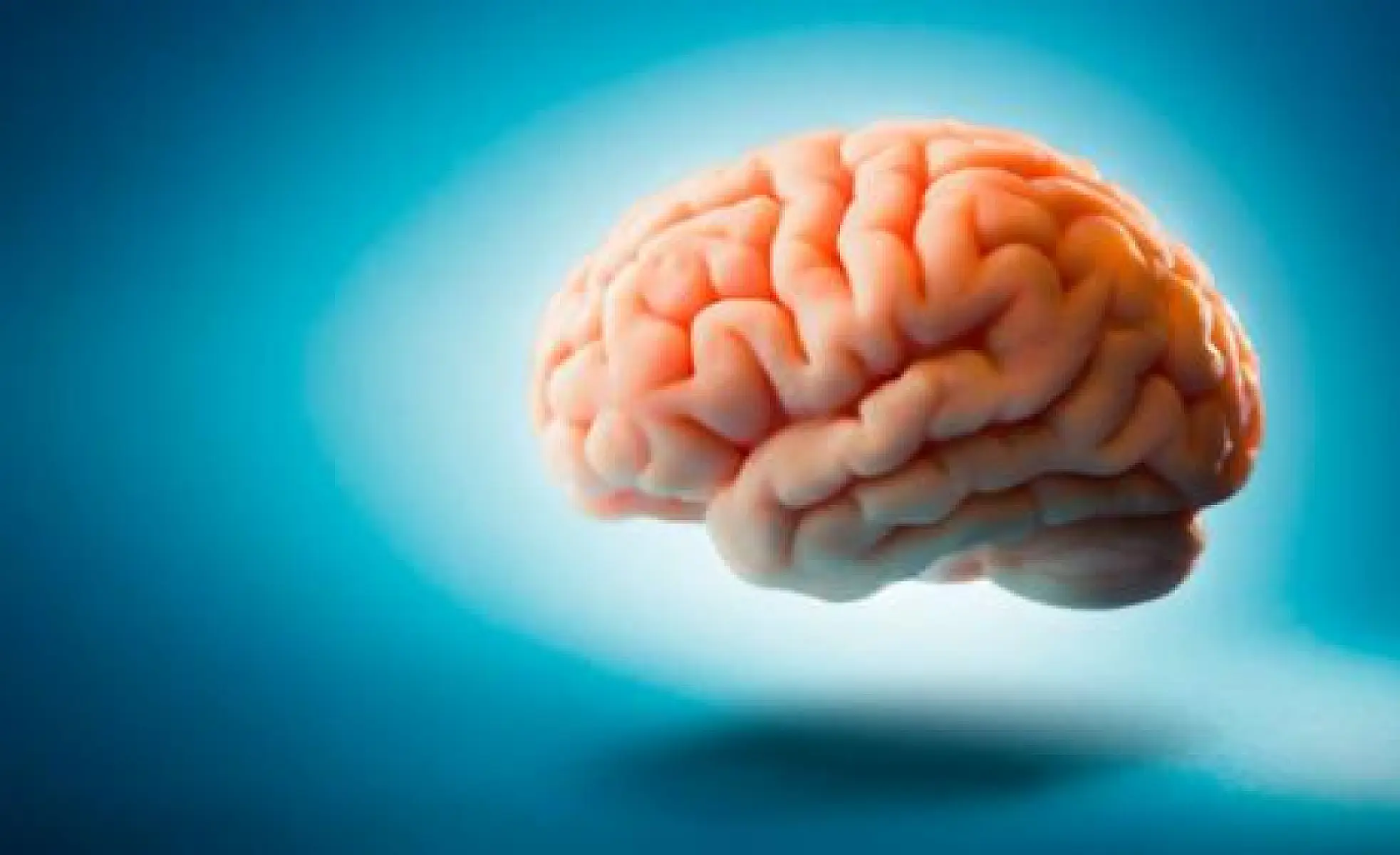 Tantalizing Evidence of a Brain Microbiome