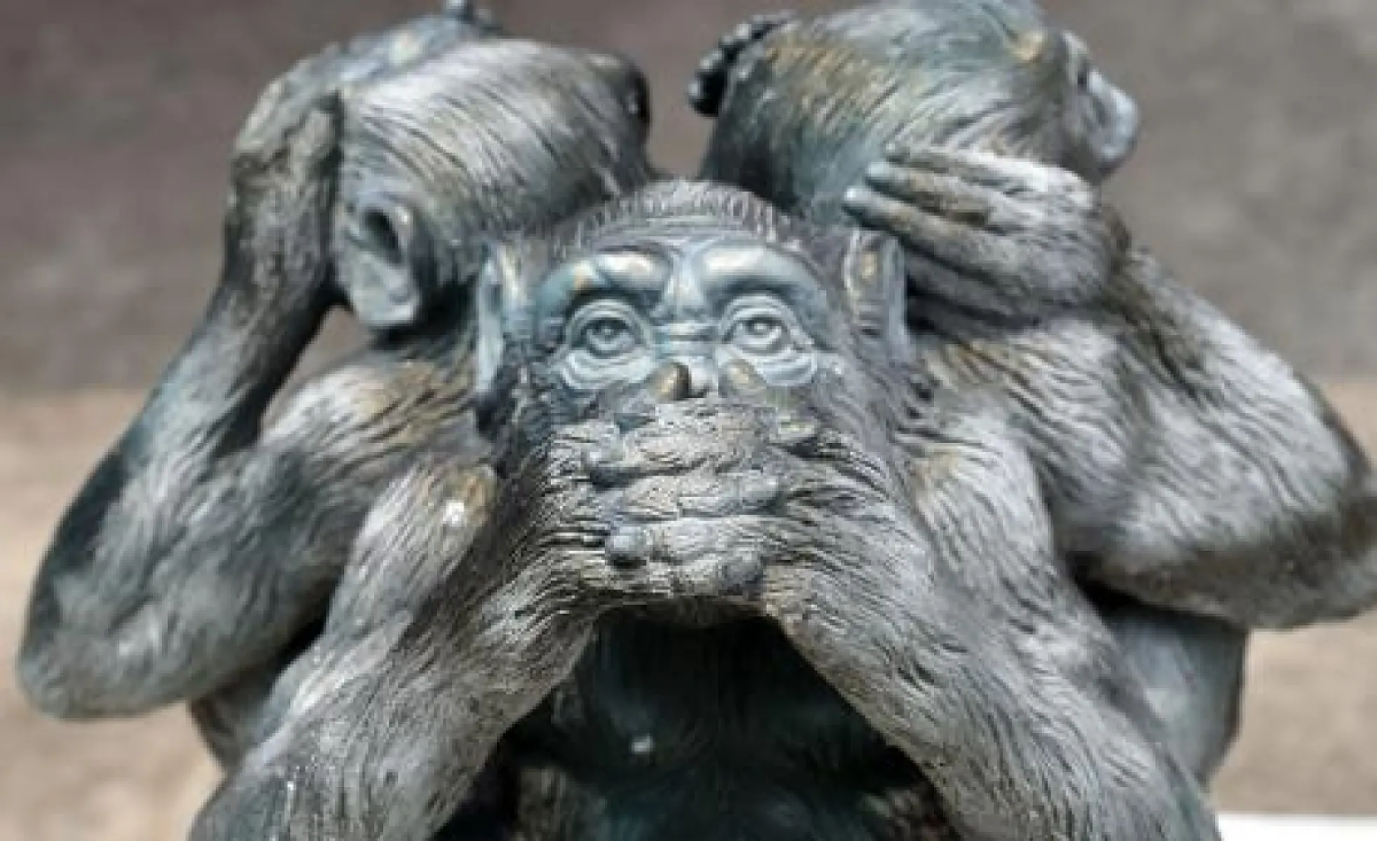 Mailchimp Shuts Down GreenMedInfo's Newsletter for "Anti-Vaccine" Content