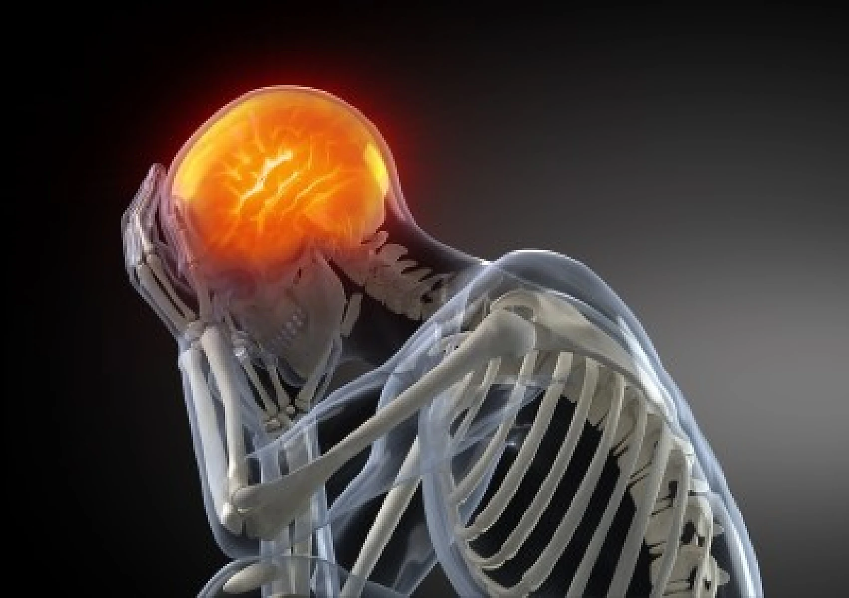 Aspartame: Safety Approved In 90 Nations, But Damages Brain