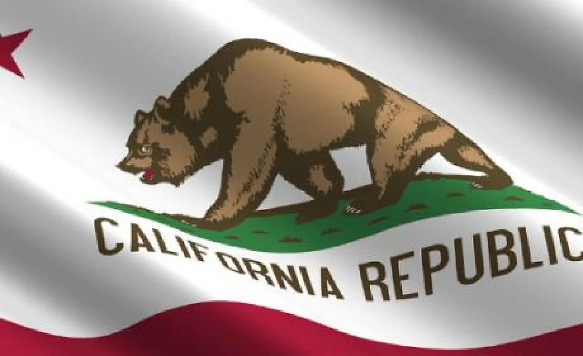 Letter to Governor Newsom