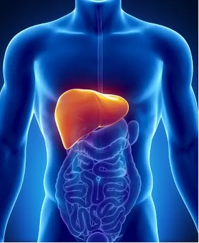 HepB Vaccine Causes Liver Disease: Science Shows How