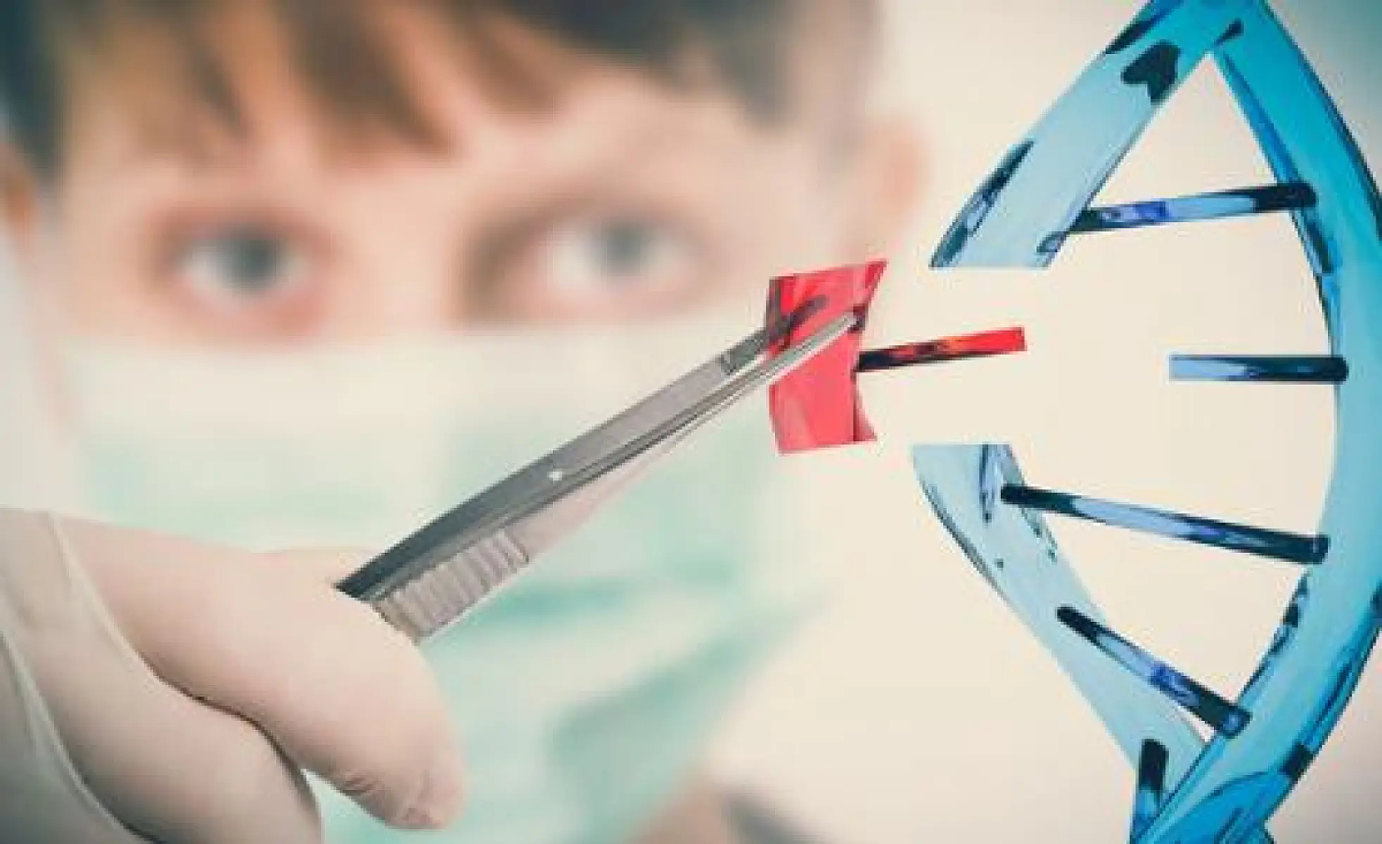 Gene-Editing Unintentionally Adds Bovine DNA, Goat DNA, and Bacterial DNA, Mouse Researchers Find