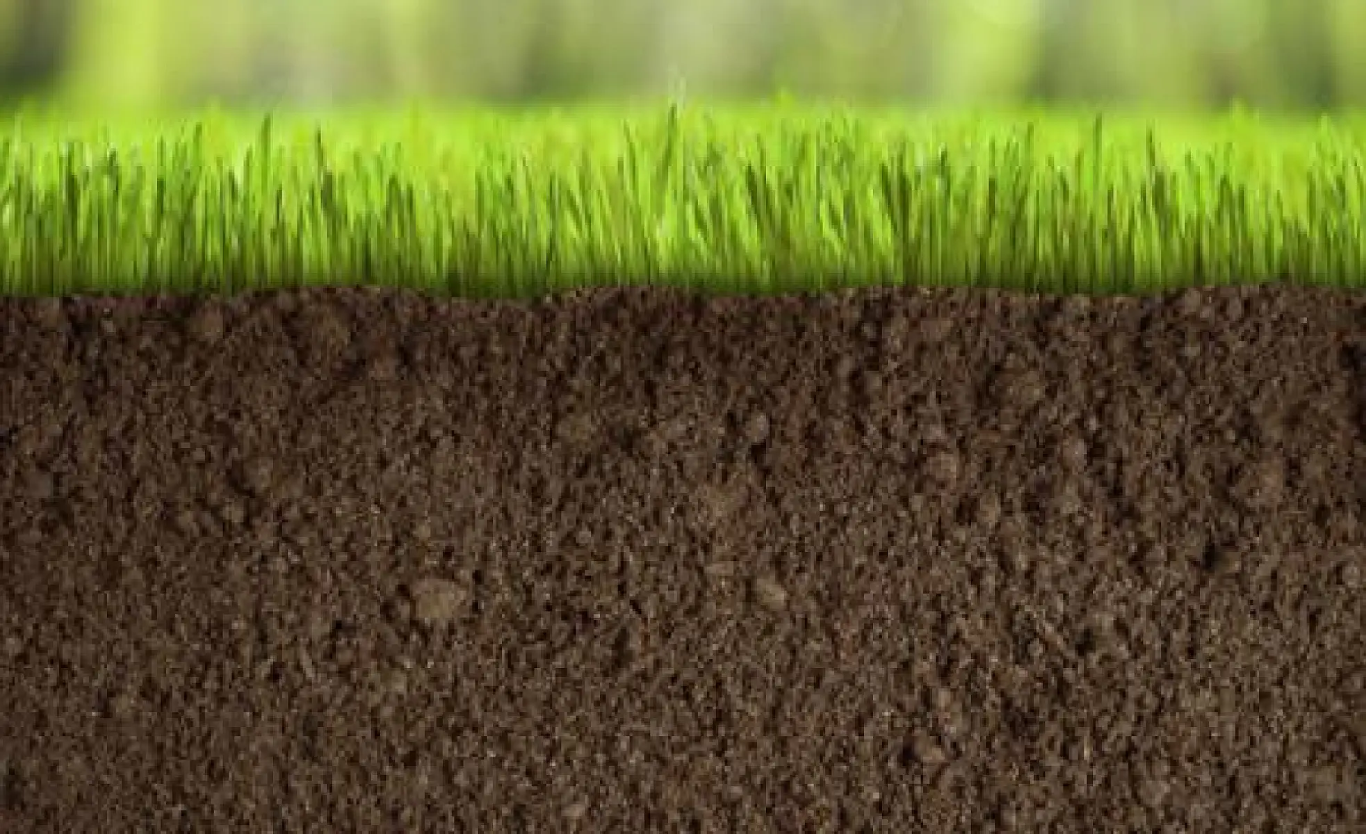 The Little Known Miracle of Life: Fulvic acid